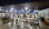 Inadequacy of slaughter facilities in Dak Lak: Investing billions, then operating moderately